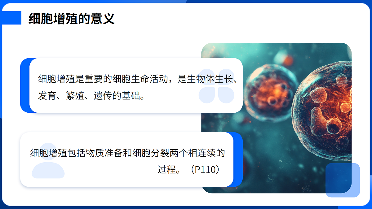 第6章 细胞的生命历程-2025-2026学年高一生物上学期核心知识概括课件（人教版2019必修1）第4页