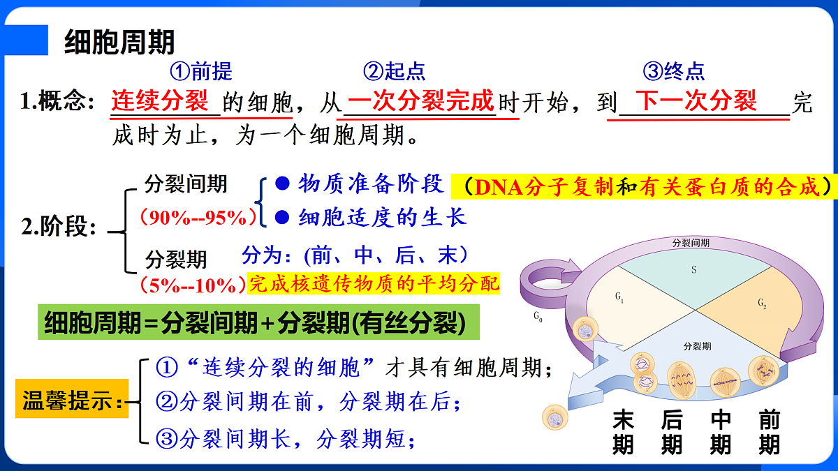 第6章 细胞的生命历程-2025-2026学年高一生物上学期核心知识概括课件（人教版2019必修1）第5页
