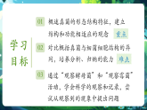 【新教材核心素養(yǎng)】北師大版生物八年級上冊5.12.1《微生物的特點和主要類型》第2課時（教學課件+教學設(shè)計）