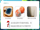 【新教材核心素養(yǎng)】北師大版生物八年級上冊5.12.1《微生物的特點和主要類型》第2課時（教學課件+教學設(shè)計）