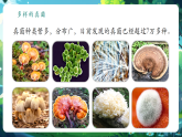 【新教材核心素養(yǎng)】北師大版生物八年級上冊5.12.1《微生物的特點和主要類型》第2課時（教學課件+教學設(shè)計）