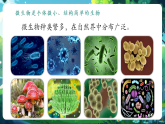 【新教材核心素養(yǎng)】北師大版生物八年級上冊5.12.1《微生物的特點和主要類型》第1課時（教學課件+教學設(shè)計）