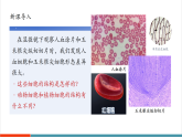 【新教材核心素養(yǎng)】冀少版版生物七年級上冊1.1.3《細胞的結(jié)構(gòu)》（教學(xué)課件+教學(xué)設(shè)計）