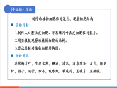【新教材核心素養(yǎng)】冀少版版生物七年級上冊1.1.3《細胞的結(jié)構(gòu)》（教學(xué)課件+教學(xué)設(shè)計）