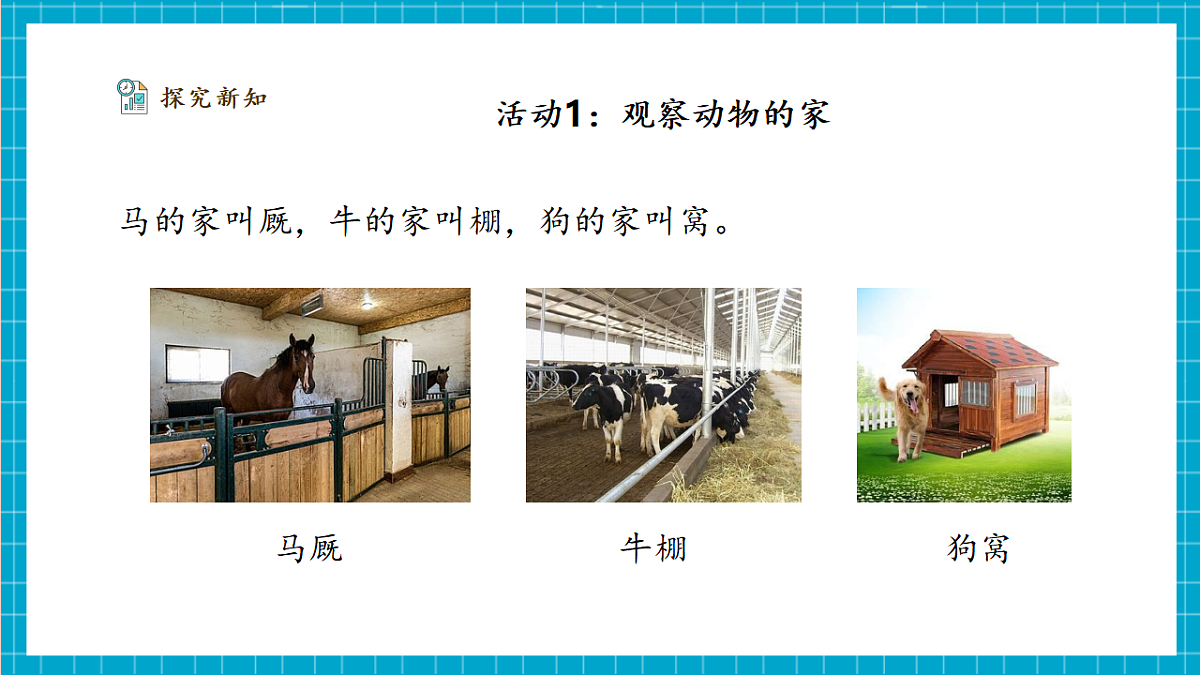 【大单元整体教学】1.1《动物的家》课时课件（29张PPT）第7页