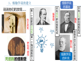 2.1 细胞是生命的单位（教学课件）-2025-2026学年高中生物必修1（浙科版2019必修1）