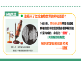 2.1 細胞學說——現(xiàn)代生物學的“基石”（教學課件）-2025-2026學年高中生物必修1（蘇教版2019）