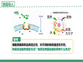 2.3 物質(zhì)進(jìn)出細(xì)胞的運(yùn)輸方式 第2課時（教學(xué)課件）-2025-2026學(xué)年高中生物必修1（蘇教版2019）