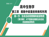 3.1 生命活動(dòng)需要酶和能源物質(zhì) 第2課時(shí)（教學(xué)課件）-2025-2026學(xué)年高中生物必修1（蘇教版2019）