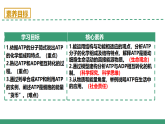 3.1 生命活動(dòng)需要酶和能源物質(zhì) 第2課時(shí)（教學(xué)課件）-2025-2026學(xué)年高中生物必修1（蘇教版2019）