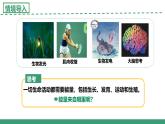 3.1 生命活動(dòng)需要酶和能源物質(zhì) 第2課時(shí)（教學(xué)課件）-2025-2026學(xué)年高中生物必修1（蘇教版2019）
