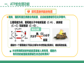 3.1 生命活動(dòng)需要酶和能源物質(zhì) 第2課時(shí)（教學(xué)課件）-2025-2026學(xué)年高中生物必修1（蘇教版2019）