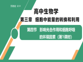 3.4 影響光合作用和細胞呼吸的環(huán)境因素 第1課時（教學課件）-2025-2026學年高中生物必修1（蘇教版2019）