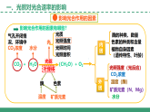 3.4 影響光合作用和細胞呼吸的環(huán)境因素 第1課時（教學課件）-2025-2026學年高中生物必修1（蘇教版2019）