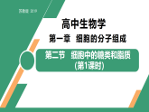 1.2 細胞中糖類和脂質(zhì)（第1課時）（教學(xué)課件）-2025-2026學(xué)年高中生物必修1（蘇教版2019）