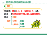 1.2 細胞中糖類和脂質(zhì)（第2課時）（教學(xué)課件）-2025-2026學(xué)年高中生物必修1（蘇教版2019）