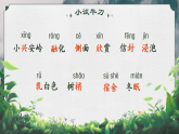 人教版（2024）三年級語文上冊課件 第六單元 18《美麗的小興安嶺》