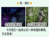 【核心素養(yǎng)】部編版小學(xué)語文二年級(jí)上冊(cè)2 我是什么-課件+教案+同步練習(xí)（含教學(xué)反思）