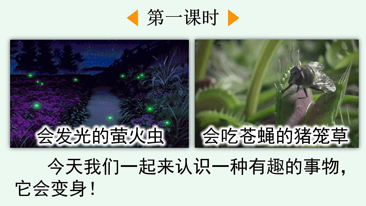 【核心素养】部编版小学语文二年级上册2 我是什么-课件第3页