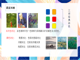 （核心素養(yǎng)）人美版（2024）美術(shù)七上《心靈的色彩》 課件+教案