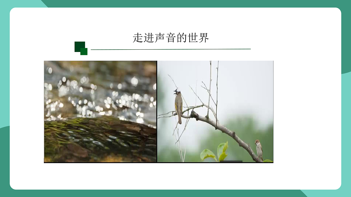鲁科版(五四制)物理八上 第二章第一节《声音的产生与传播》课件第3页