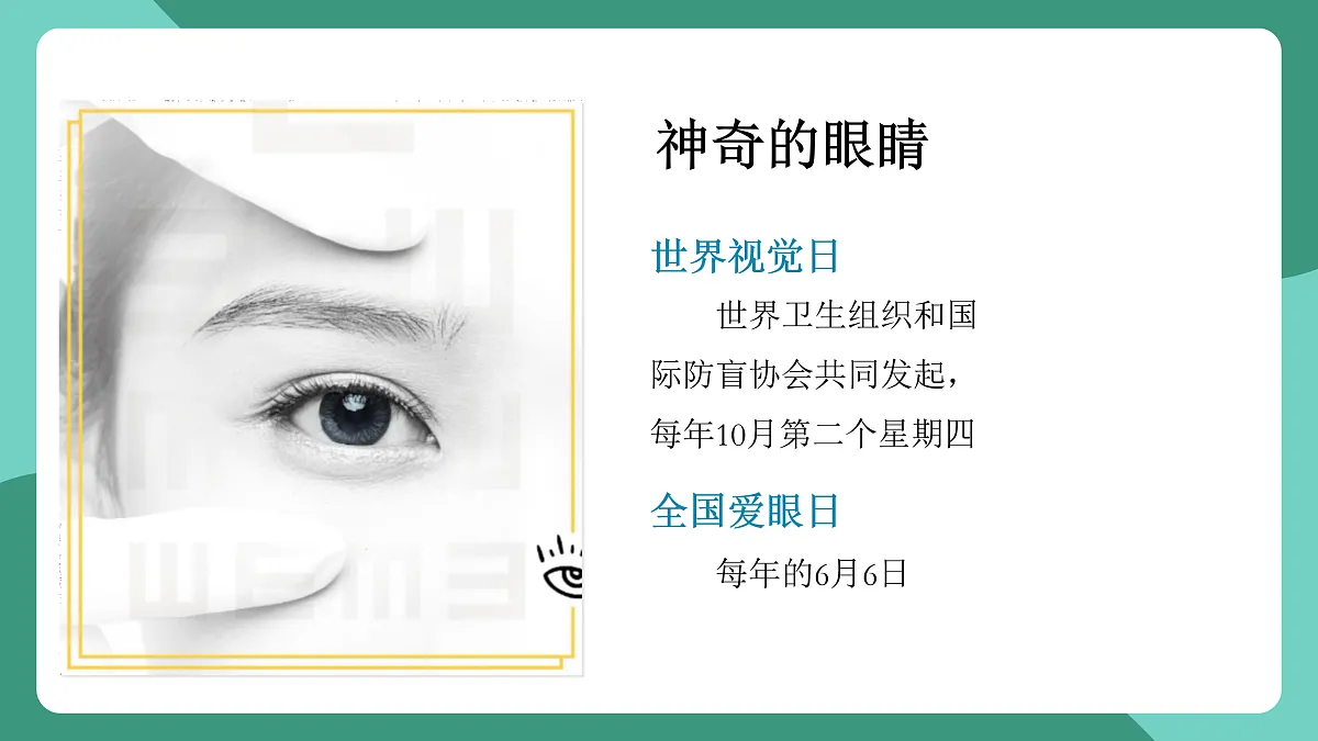 鲁科版(五四制)物理八上 跨学科实践_眼睛与眼镜（第一课时）课件第2页