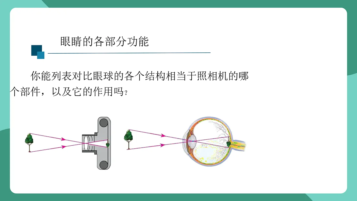 鲁科版(五四制)物理八上 跨学科实践_眼睛与眼镜（第一课时）课件第7页