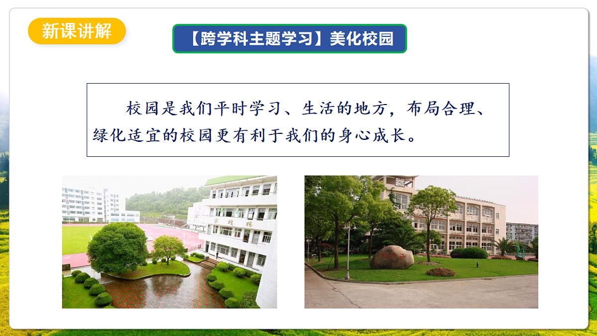 人教版（新课标）地理七上第二章 跨学科主题学习——《美化校园》课件第5页