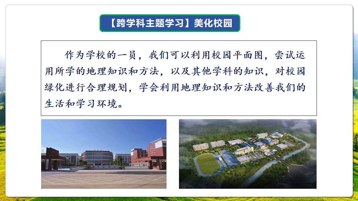 人教版（新课标）地理七上第二章 跨学科主题学习——《美化校园》课件第6页