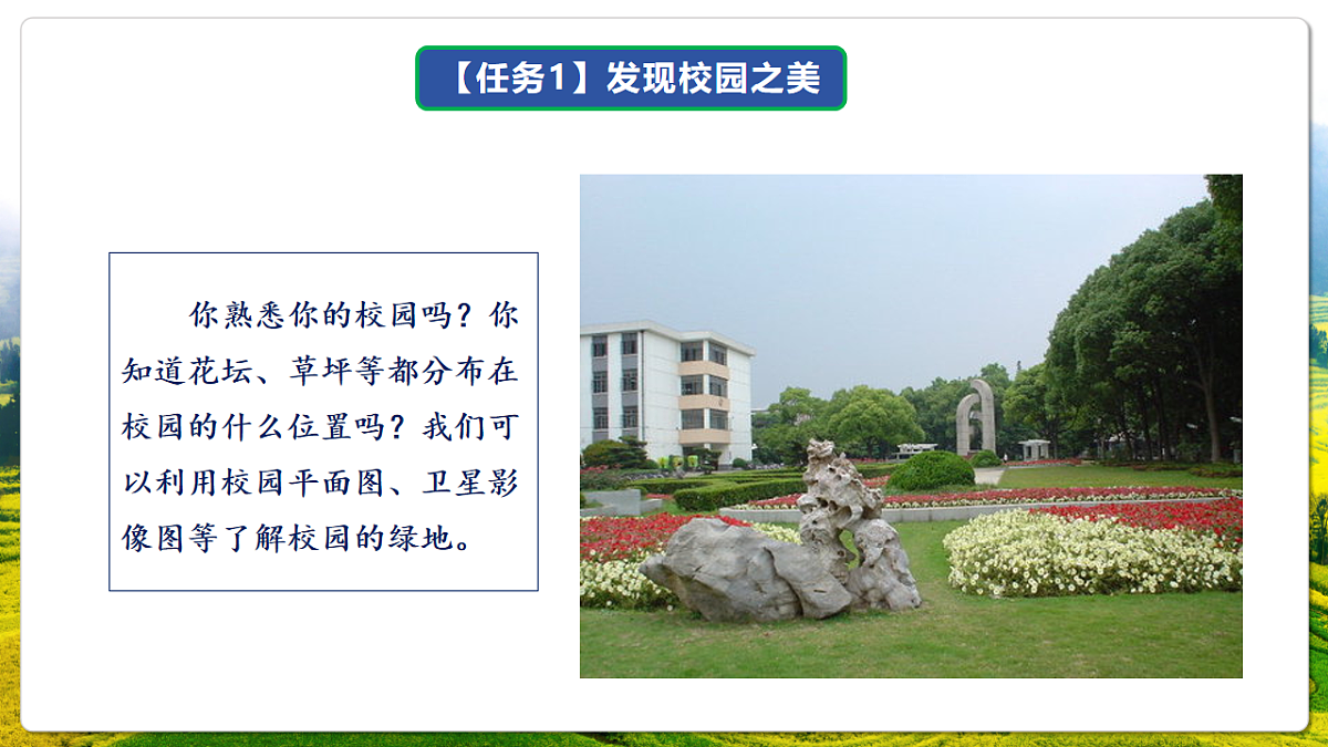 人教版（新课标）地理七上第二章 跨学科主题学习——《美化校园》课件第8页