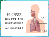 新教科版（2017）科學(xué)四上2.1《感受我們的呼吸》課件+教案+素材