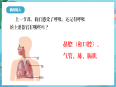 新教科版（2017）科學(xué)四上2.2《呼吸與健康生活》課件+教案+素材