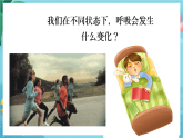 新教科版（2017）科學(xué)四上2.2《呼吸與健康生活》課件+教案+素材