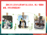 人教部編版道法六上 8《我們受特殊保護(hù)》第二課時(shí) 課件+教案+練習(xí)+學(xué)習(xí)任務(wù)單+素材