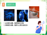 北師大版生物八下 7.22.2 《原生生物的主要類群》課件+素材
