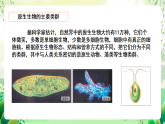 北師大版生物八下 7.22.2 《原生生物的主要類群》課件+素材