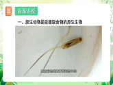 北師大版生物八下 7.22.2 《原生生物的主要類群》課件+素材