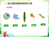 北師大版生物八下 7.22.2 《原生生物的主要類群》課件+素材