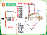 北師大版生物八下   7.22.4《 動(dòng)物的主要類群—腔腸動(dòng)物和扁形動(dòng)物》課件+素材