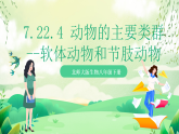 北師大版生物八下  7.22.4《動(dòng)物的主要類群—軟體動(dòng)物和節(jié)肢動(dòng)物》 課件+素材