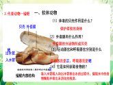 北師大版生物八下  7.22.4《動(dòng)物的主要類群—軟體動(dòng)物和節(jié)肢動(dòng)物》 課件+素材