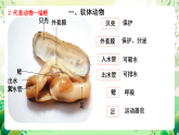 北師大版生物八下  7.22.4《動(dòng)物的主要類群—軟體動(dòng)物和節(jié)肢動(dòng)物》 課件+素材