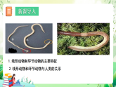 北師大版生物八下 7.22.4《動(dòng)物的主要類群——線蟲動(dòng)物和環(huán)節(jié)動(dòng)物 》課件+素材