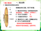 北師大版生物八下 7.22.4《動(dòng)物的主要類群——線蟲動(dòng)物和環(huán)節(jié)動(dòng)物 》課件+素材