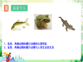 北師大版生物八下 7.22.4《動(dòng)物的主要類群—魚類、兩棲動(dòng)物和爬行動(dòng)物》課件+素材