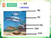 北師大版生物八下 7.22.4《動(dòng)物的主要類群—魚類、兩棲動(dòng)物和爬行動(dòng)物》課件+素材