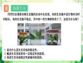 北師大版生物八下 8.23.4《生態(tài)系統(tǒng)的穩(wěn)定性》課件+素材
