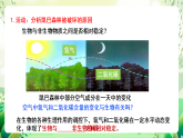 北師大版生物八下 8.23.4《生態(tài)系統(tǒng)的穩(wěn)定性》課件+素材