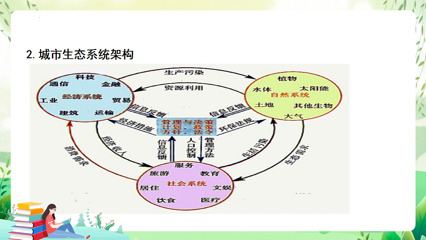 北师大版生物八下   8.24.3 《关注城市环境》课件第4页