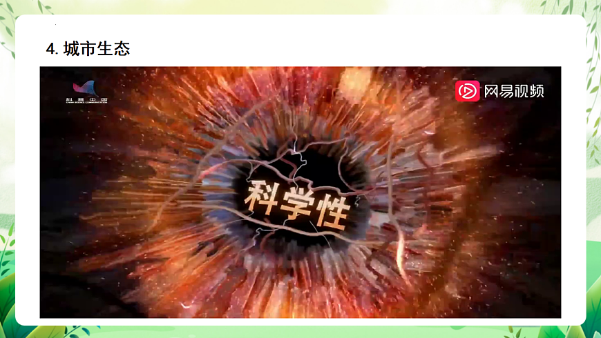 北师大版生物八下   8.24.3 《关注城市环境》课件第7页